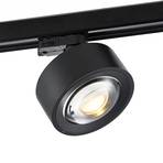 Molto Luce LED 3-faset skinnespot Mag, svart, 827