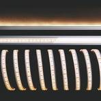 Flexible LED strip, 55 W, 500x1.1x0.44cm, 3,000 K