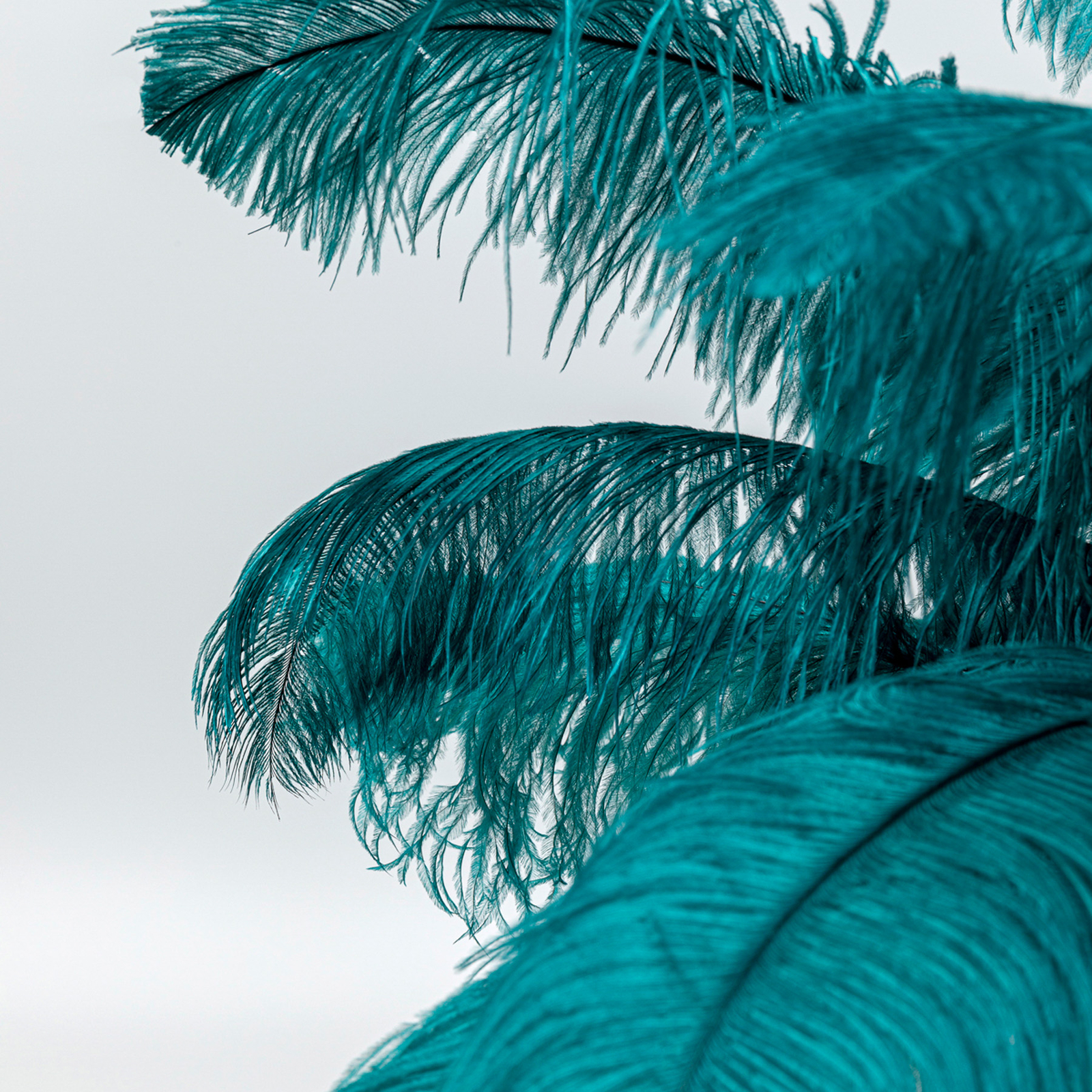 KARE Feather Palm lámpara de mesa con plumas verde