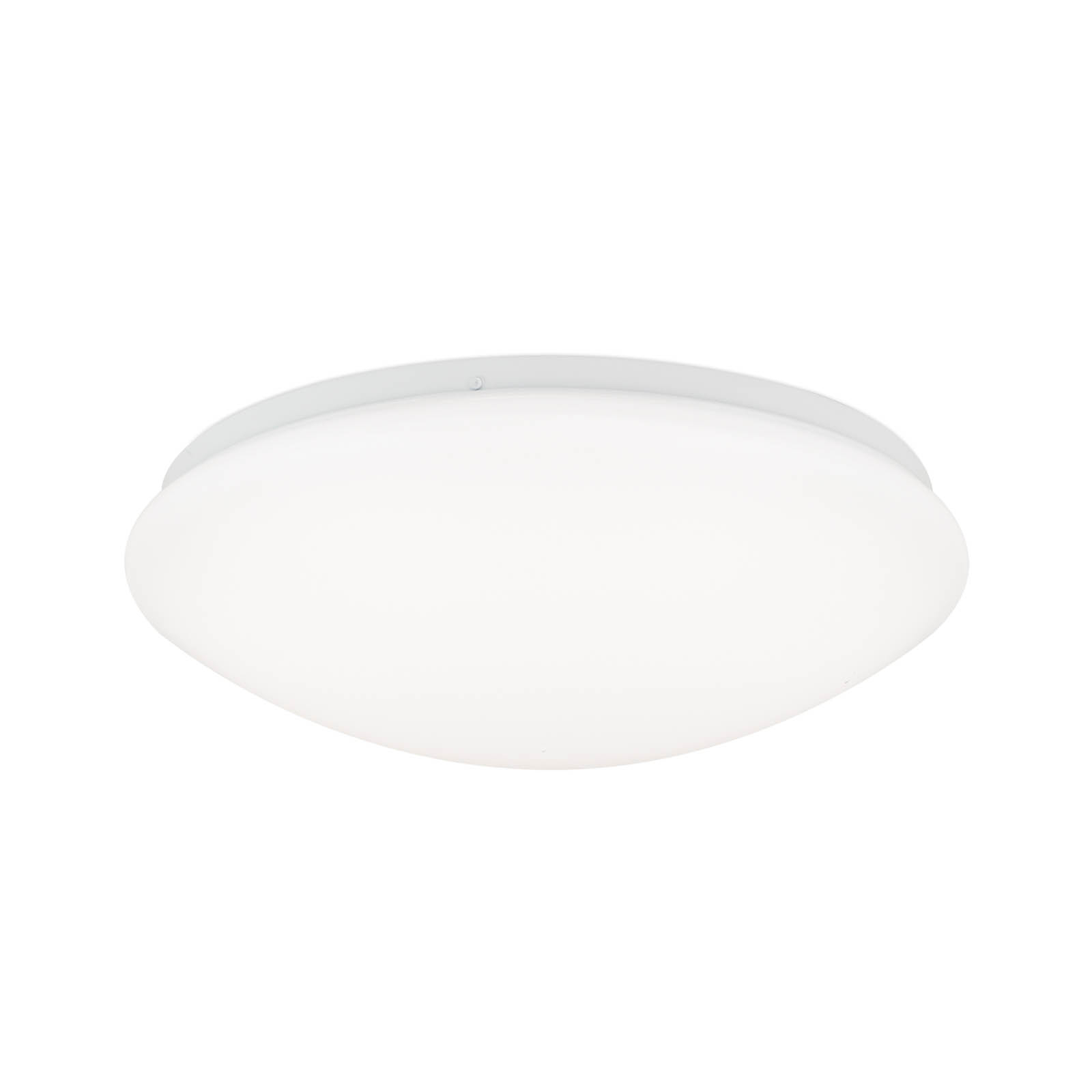 Nedo curved LED ceiling light