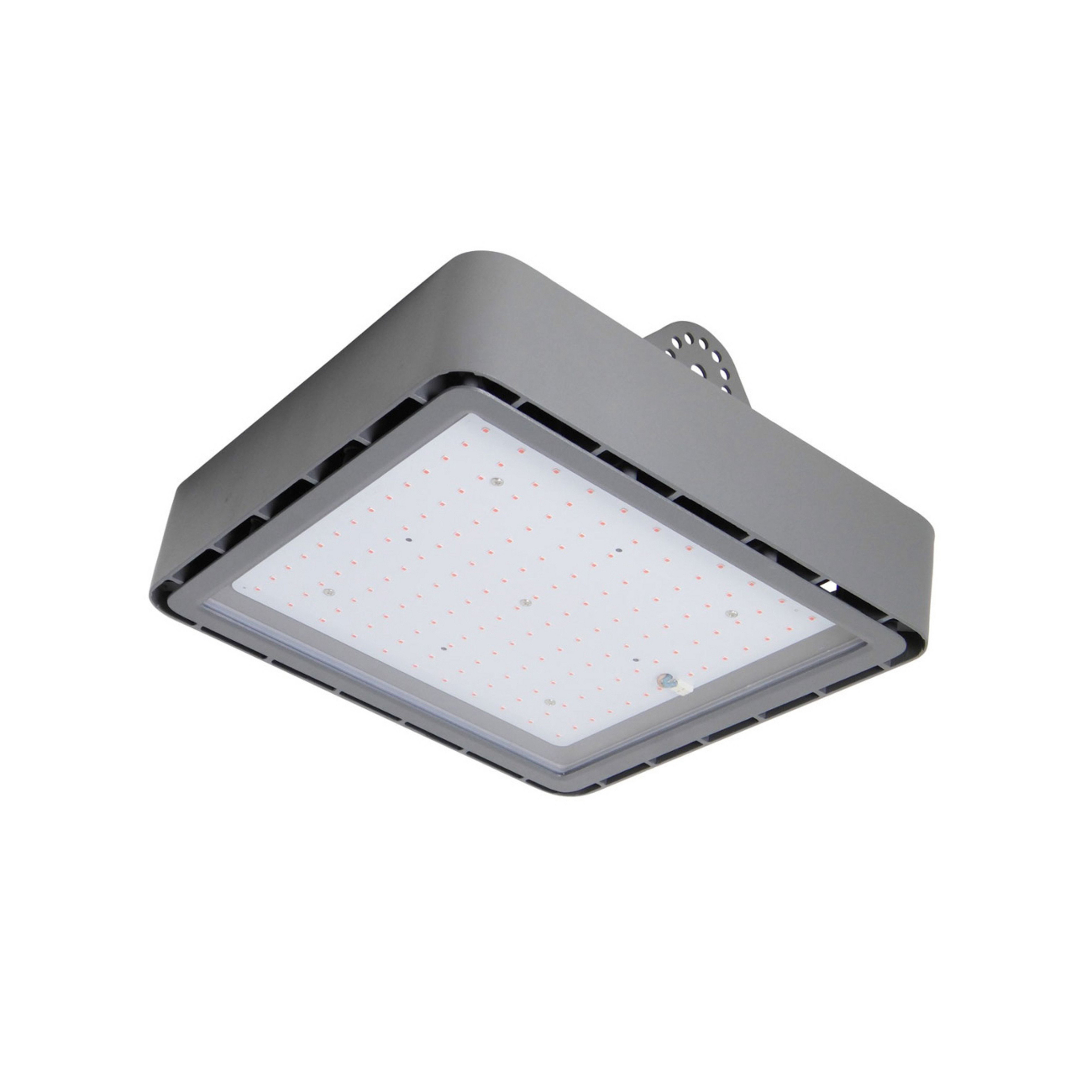 Grow light bulb GoLeaf X1 S3 red-blue photosynthesis
