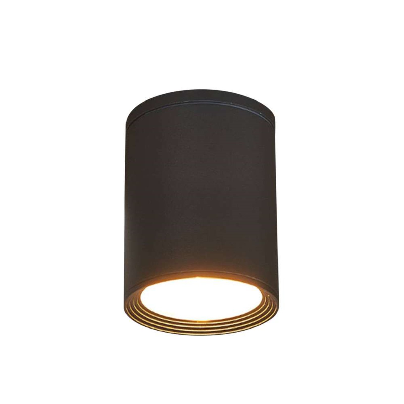 Minna Outdoor Ceiling Lamp Graphite - Lucande