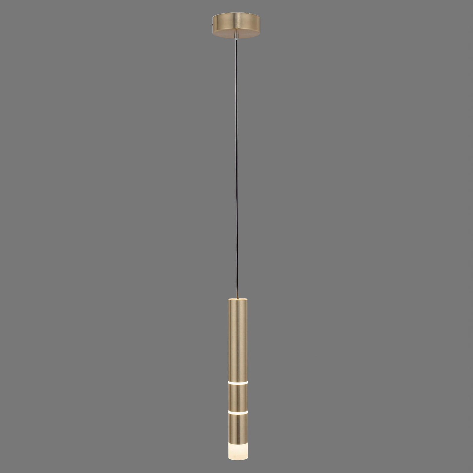 Vega LED-Hängeleuchte, ein Zylinder, messing - PURE