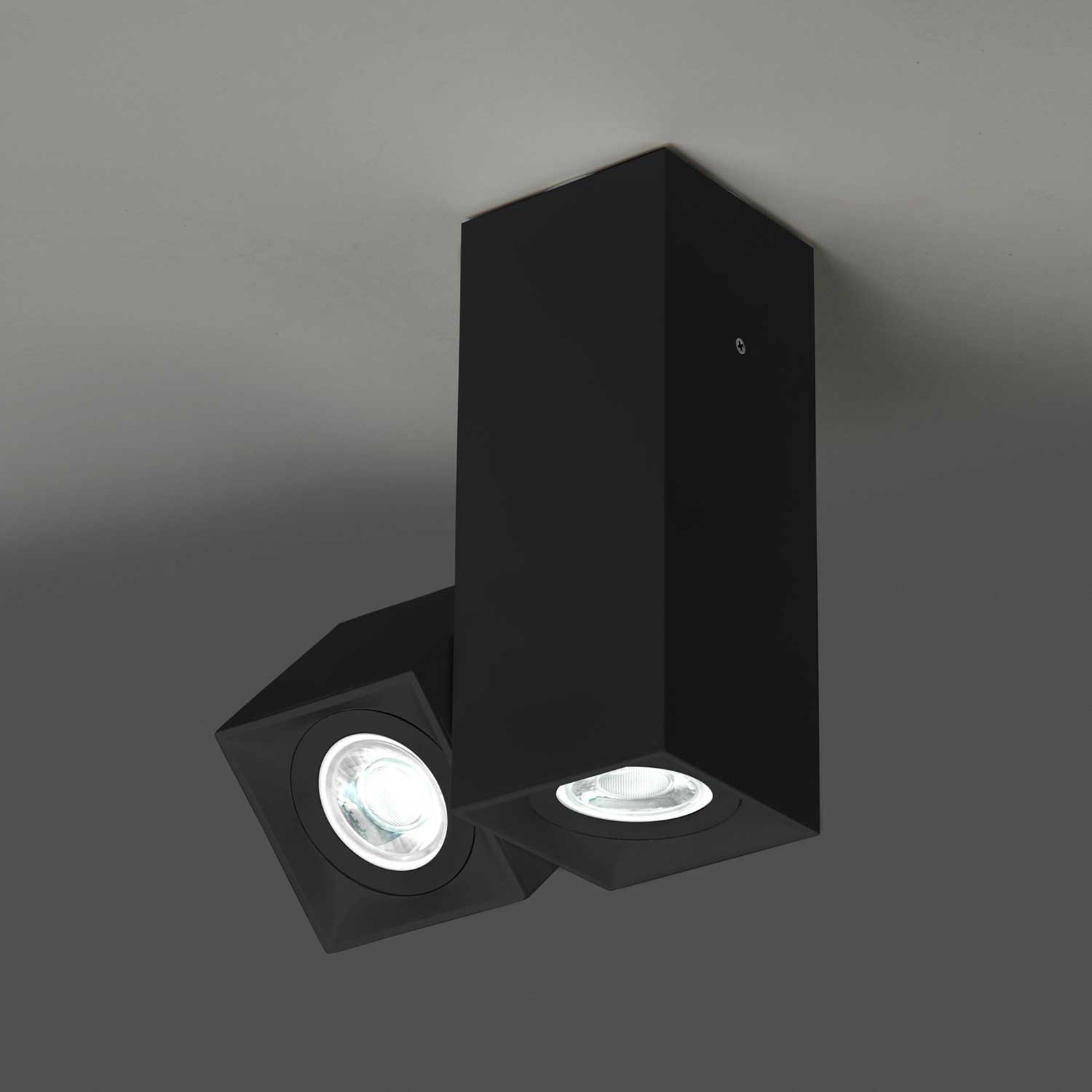Milan Dau Spot loftlampe, 2 lyskilder, sort
