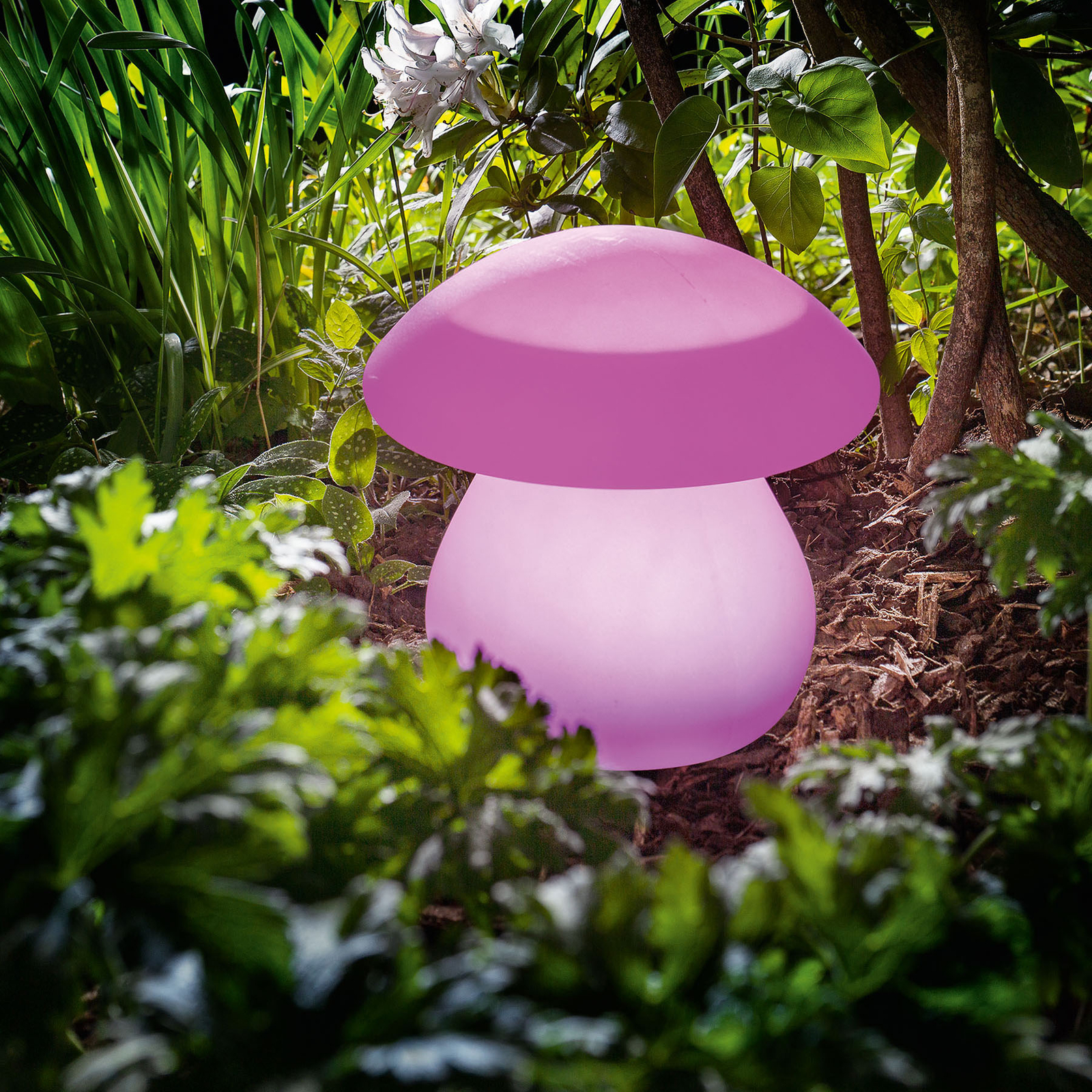 Esotec Smart Mushroom solar LED decorative light, plastic, H: 25 cm