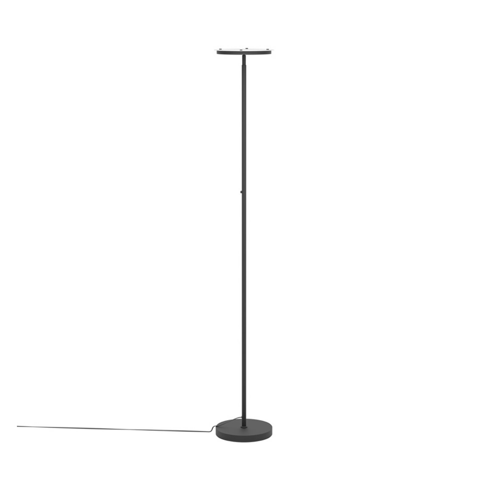 EGLO PIAGNOLO LED podna lampa, crna, visina 168 cm, CCT
