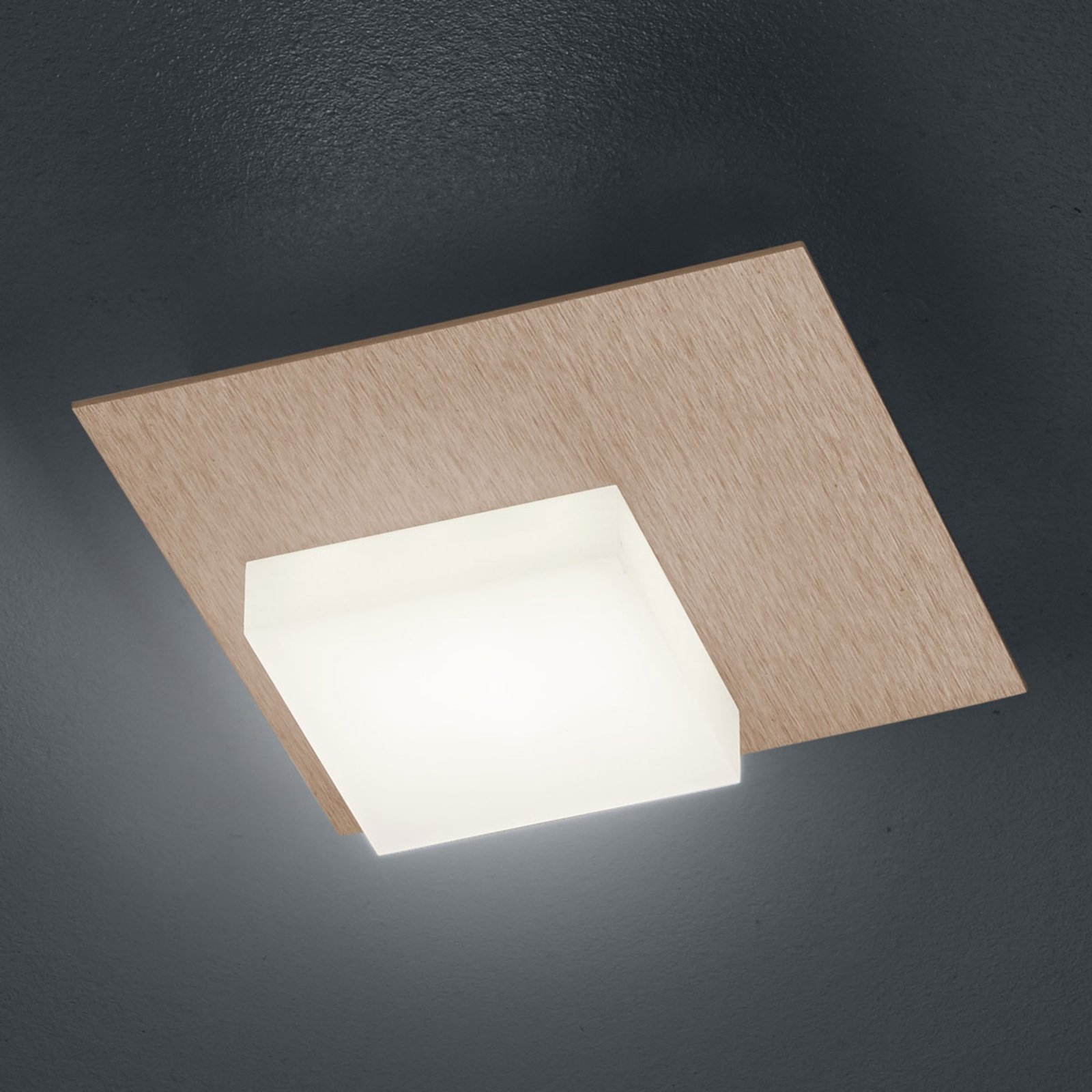 BANKAMP Cube LED-taklampe 8W