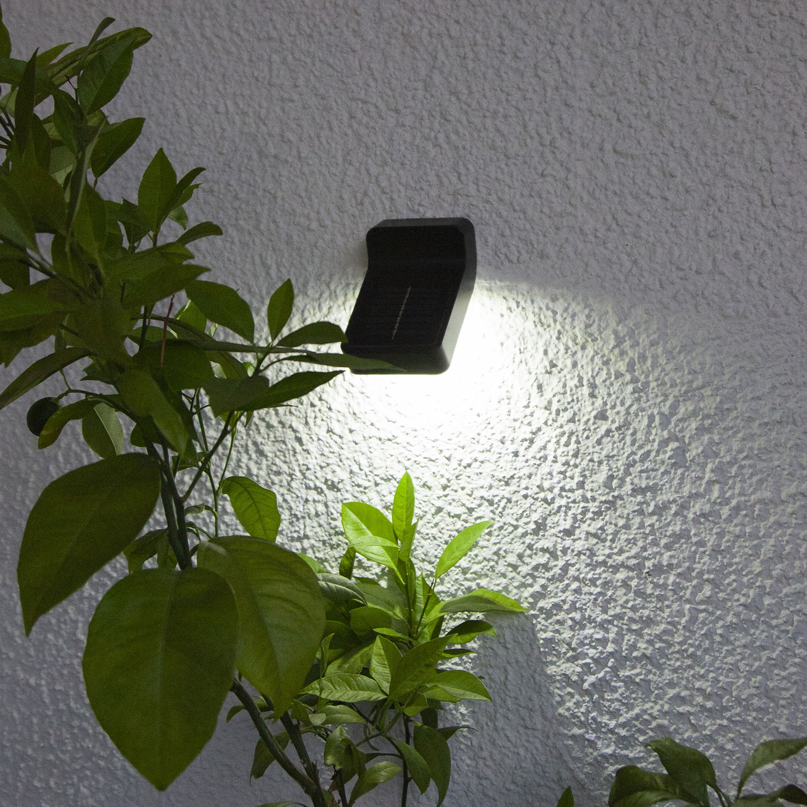 LED solar wall light Wally, twilight sensor