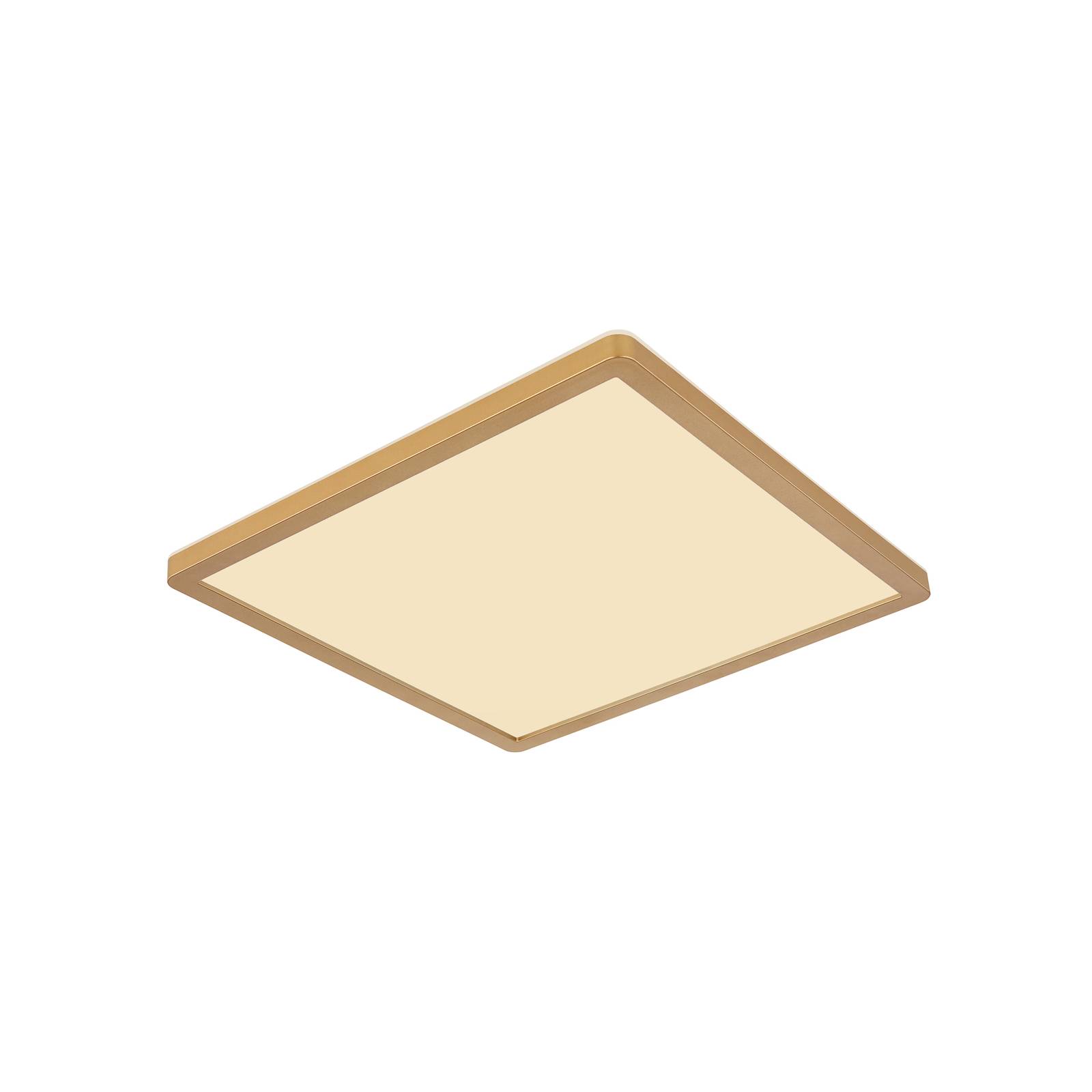 LED-Deckenleuchte Sapana, Länge 29,5 cm messing