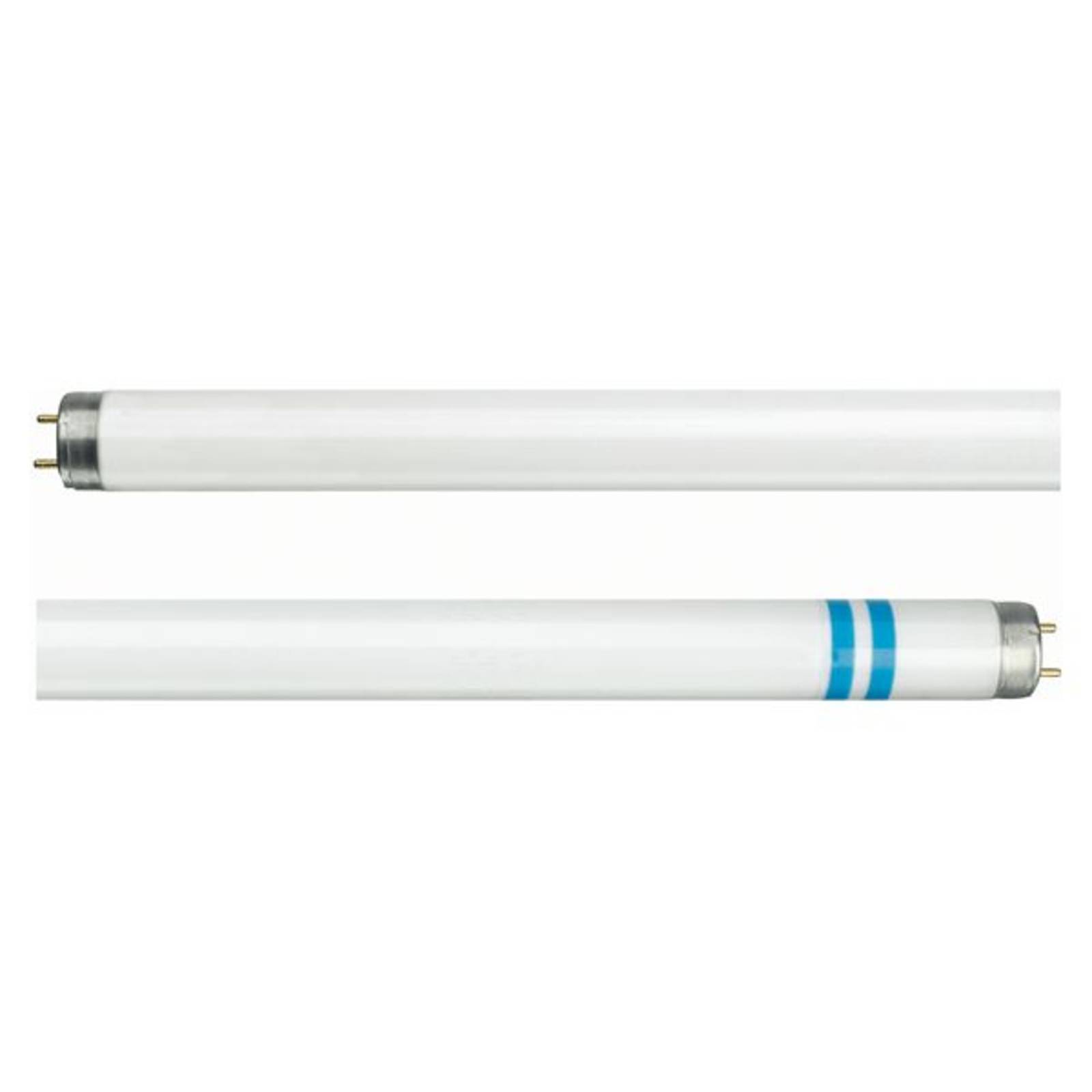 Philips Tube fluorescent G13 T8 avec protection anti-éclats