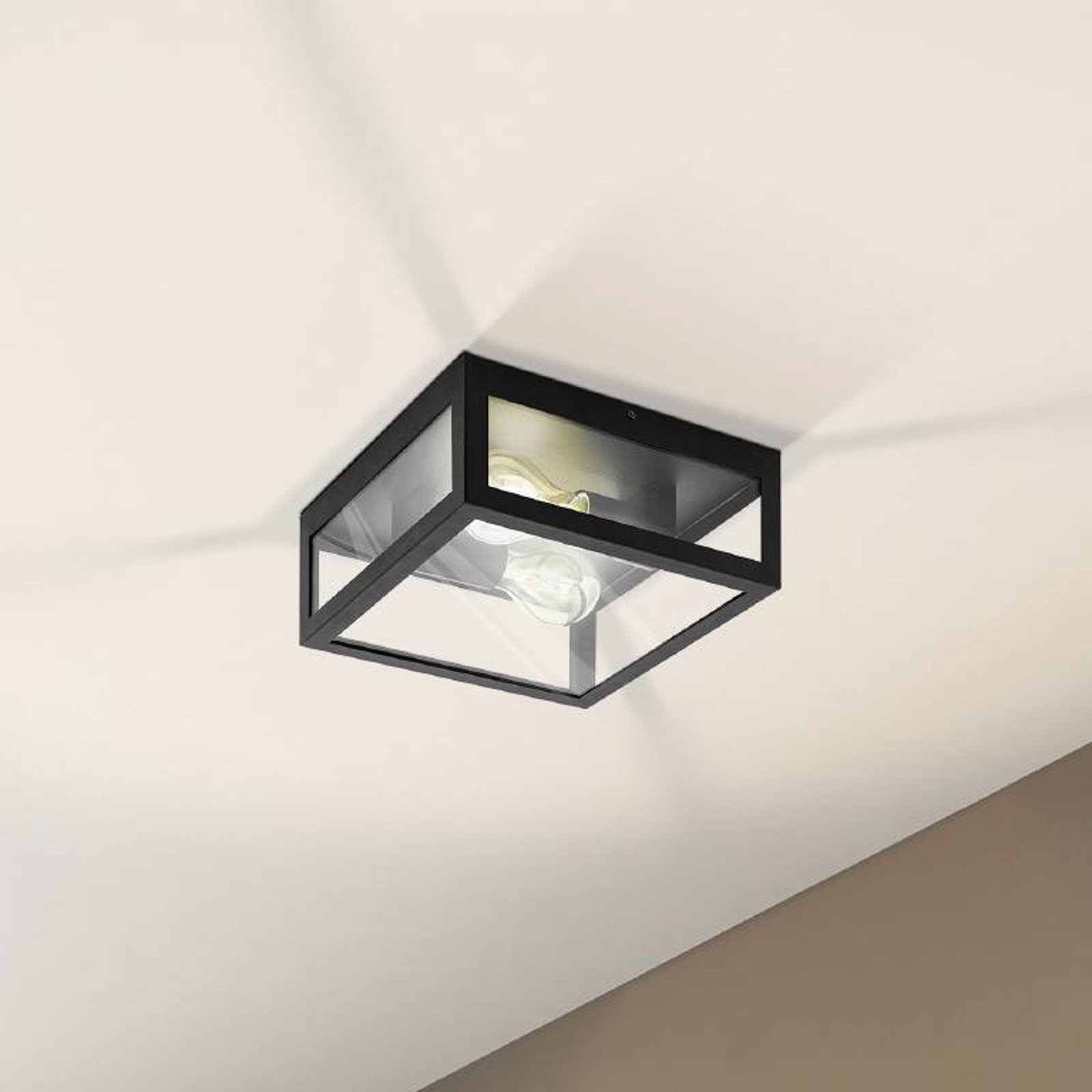 Badkamer plafondlamp Amezola, 2-lamps, zwart