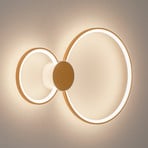 BEGA LED wall light 51298.4 , velvet brass, metal, DALI