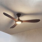 Lucande Winrod LED ceiling fan, dark wood, IP66, dimmable