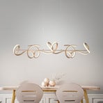 LED pendant light Curls, brass, metal, 99 cm long, dimmable