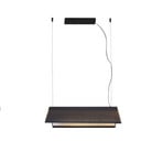 Ludovico Suspensie cu LED de suprafață, 60 cm, negru