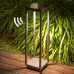 Saura solar LED pedestal light with motion detector