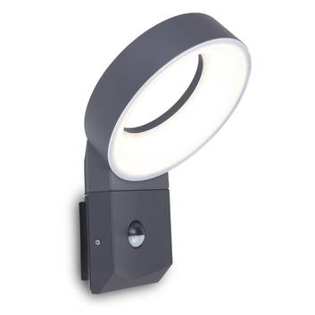 Meridian LED outdoor wall light with motion sensor