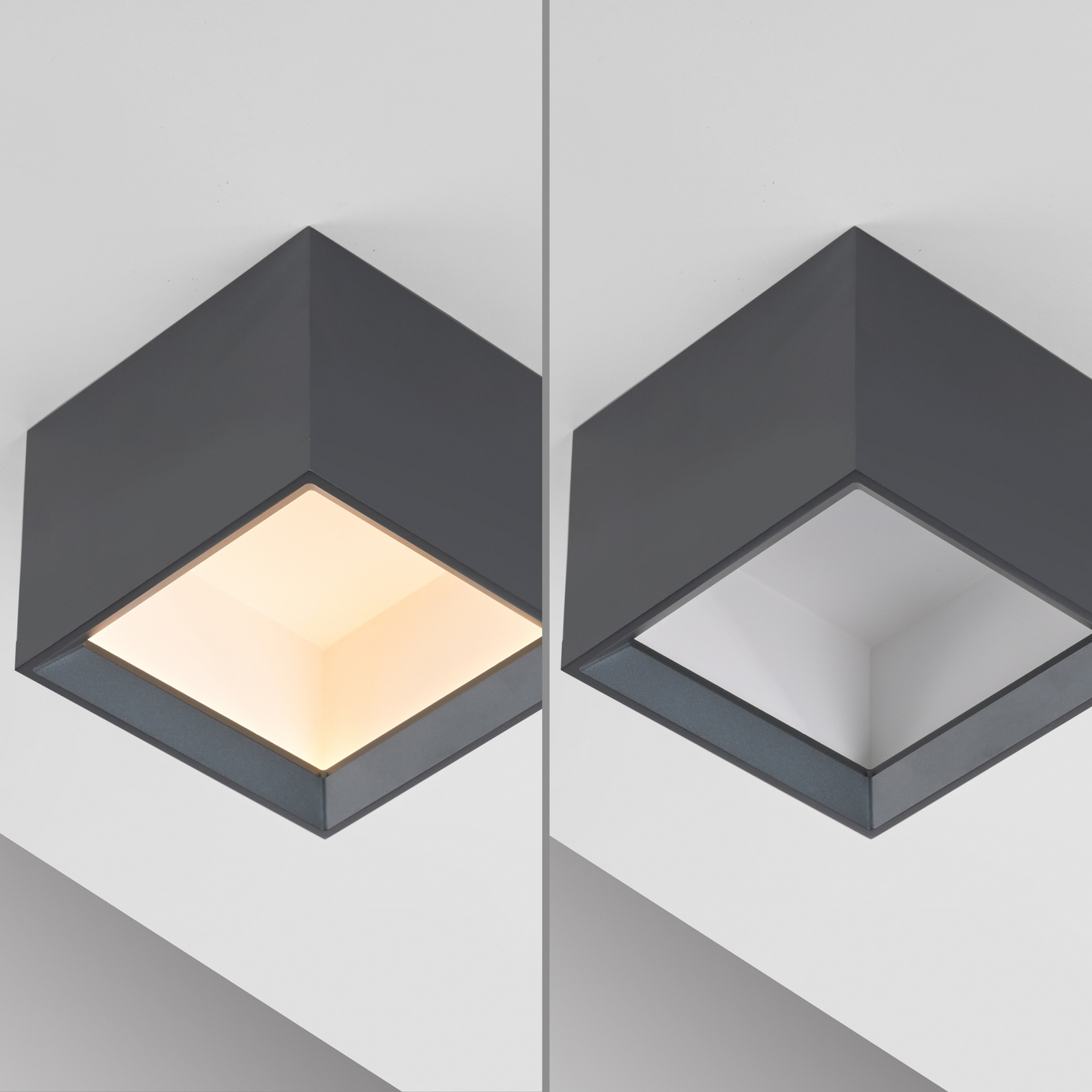 LED-stropna svetilka PURE Manhatten, mystic grey, 1-žarilna, CCT