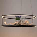 Paul Neuhaus lampă suspendată LED Contura, negru, Ø 50 cm