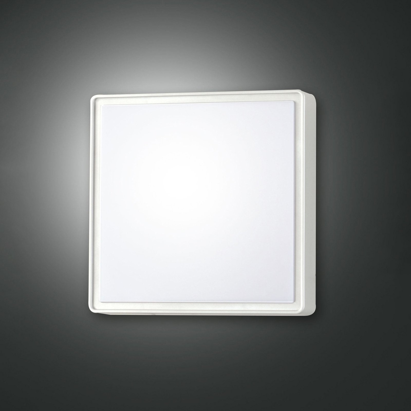 Oban wall light, 24 cm x 24 cm, 1 x E27, white, IP65