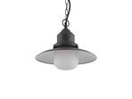 Roisin Lustră Pendul Exterior Dark Grey - Lindby