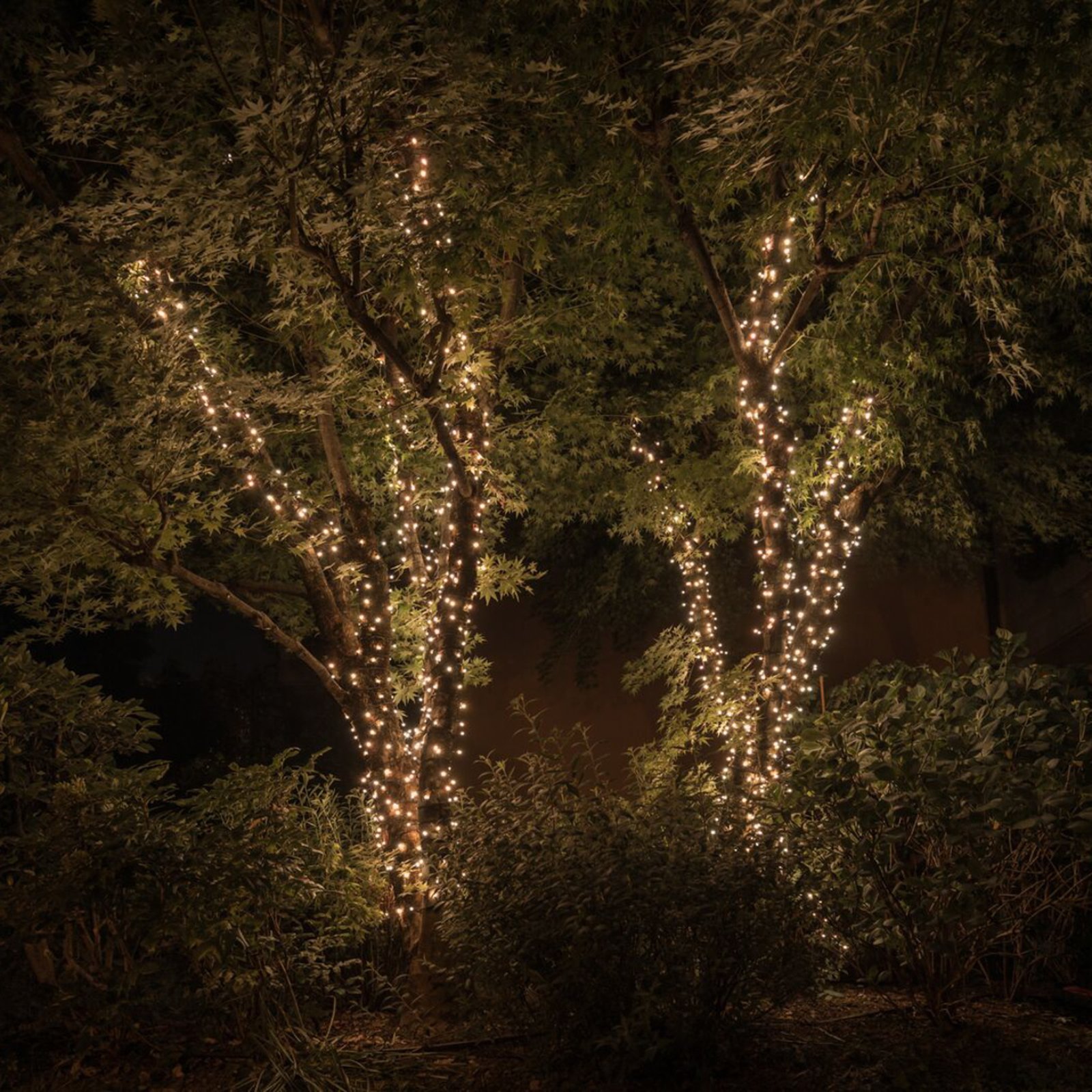Twinkly LED fairy lights RGBW, 250-light 20m