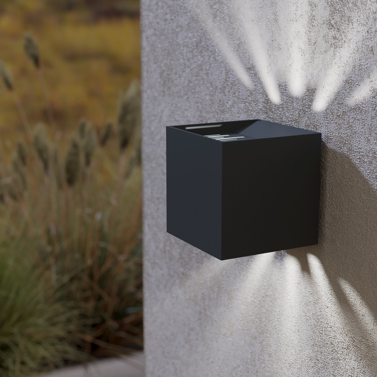 LED wandlamp Calpino 2, zwart