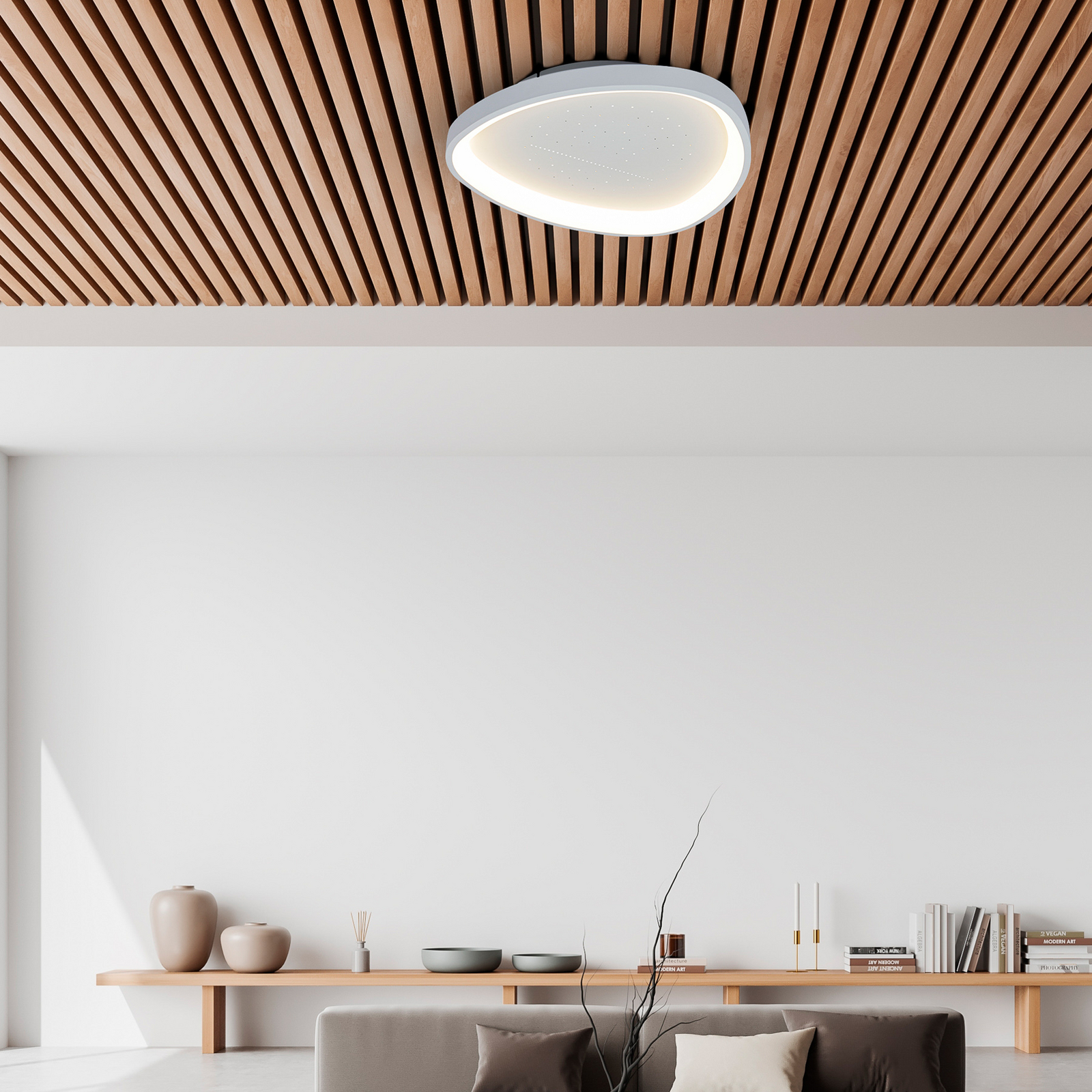 Argesa LED ceiling light, Ø 60.5 cm, white, CCT, remote control Argesa LED ceiling light, Ø 60.5 cm, white, CCT, remote control