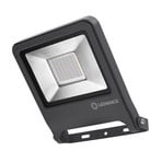 LEDVANCE Endura Flood foco exterior 840 DG 50W