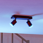 EGLO connect Smart-LED-Deckenspot Melitello-Z, 2-flammig