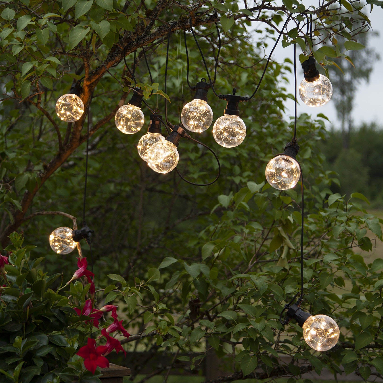 LED lichtketting Big Circus, Dew Drops, 10-lamps