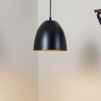 Lámpara colgante Lenox, 1 luz, negro/oro