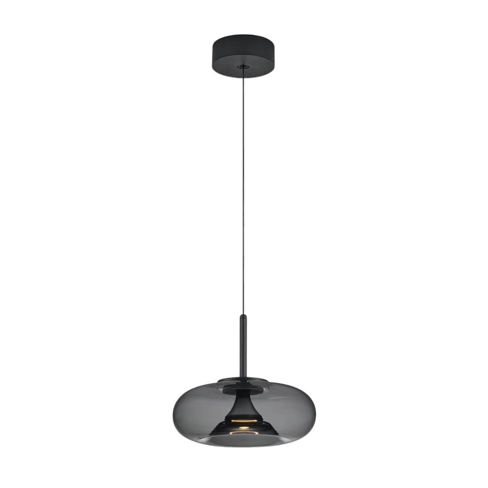 Helestra Sica LED-Hängeleuchte schwarz/rauchgrau