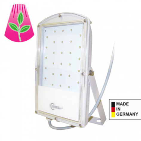LED-Pflanzenleuchte Astir