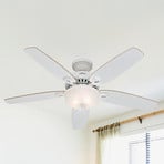 Hunter Builder Deluxe ventilateur plafond, blanc