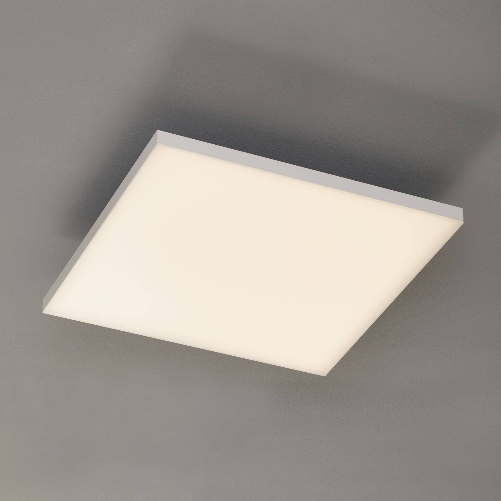 Paul Neuhaus Lampa sufitowa LED - salon / jadalnia - bia?a - metal - nowoczesny - ze ?ciemniaczem