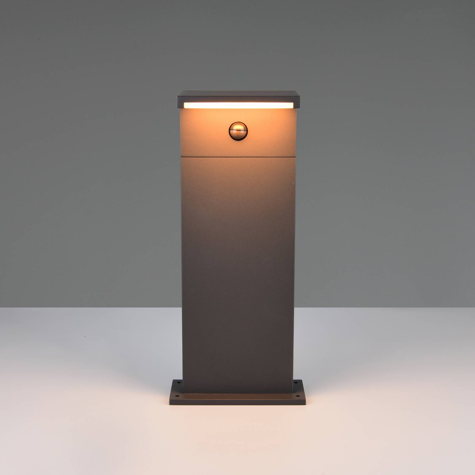 Trio Lighting Lampe pour socle LED Ravi, anthracite, hauteur 50 cm, capteur, IP54