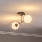 Glassy ceiling light, 2-bulb, opal glass