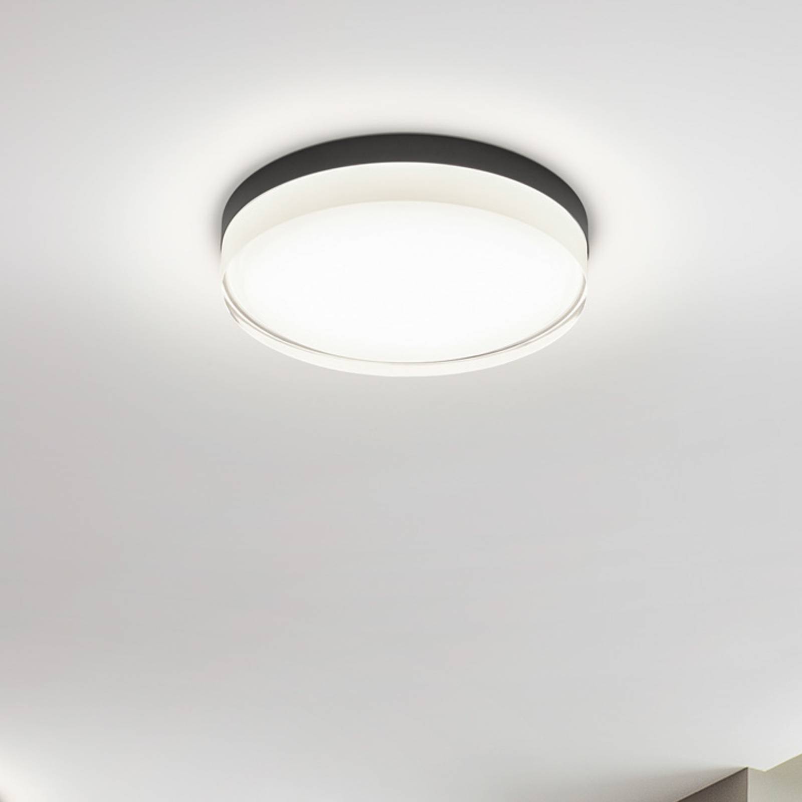 Helestra Tana LED plafondlamp, zwart, Ø 33 cm