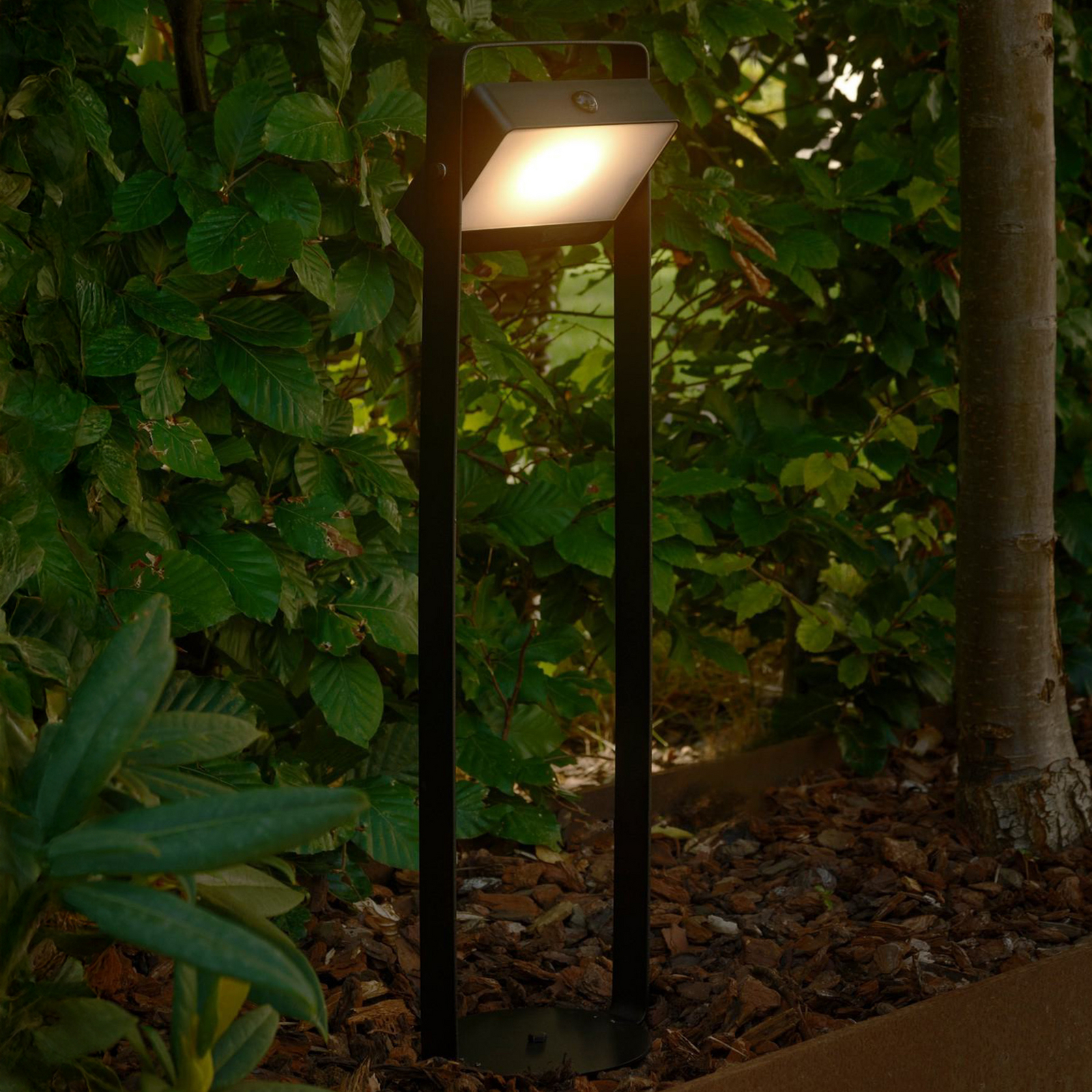 Saulio solar LED path light, black, aluminium, IP44