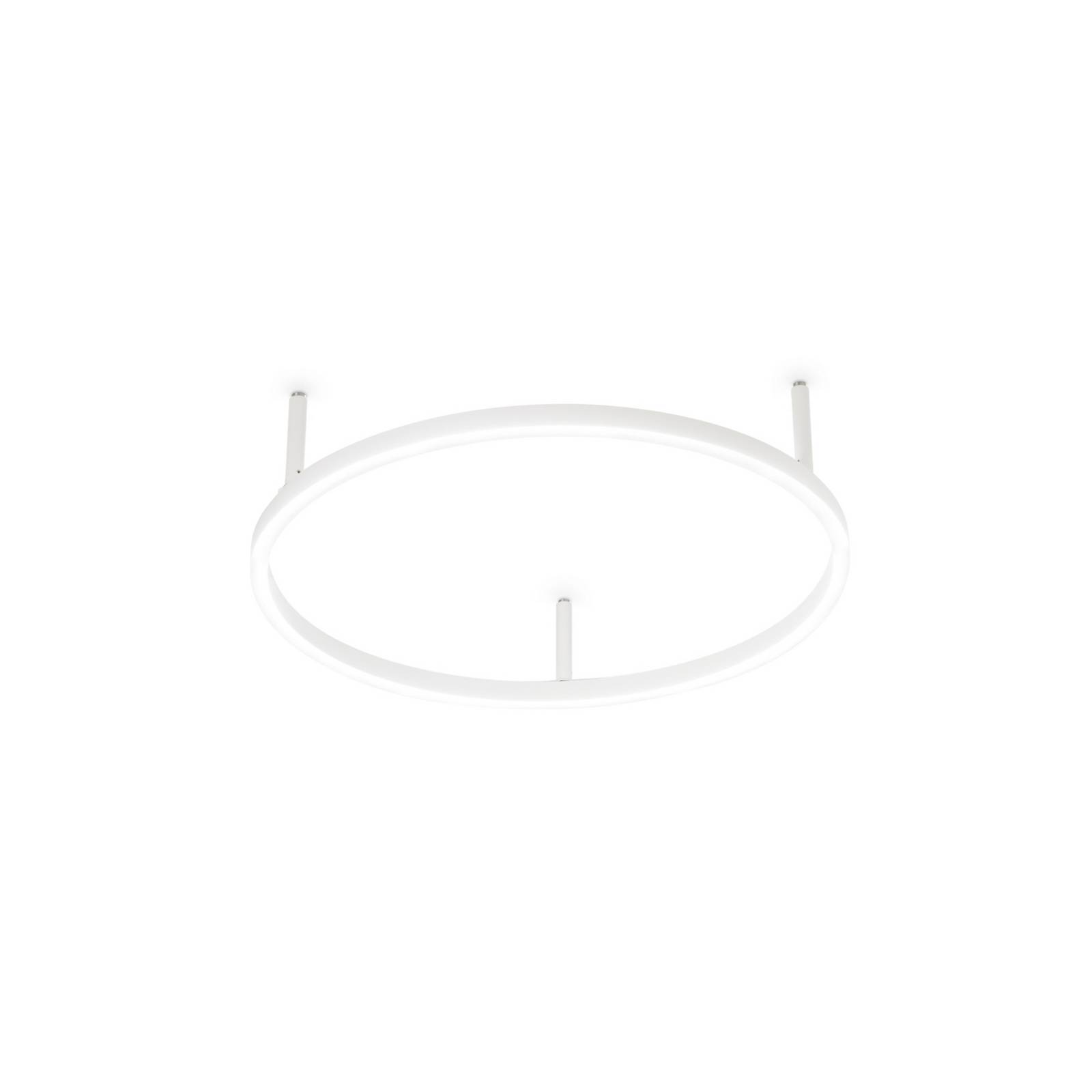 Ideal Lux Lampa sufitowa LED Oracle Slim Ø 50 cm biała 3000 K