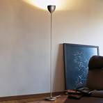 Rotaliana Drink LED floor lamp, bronze