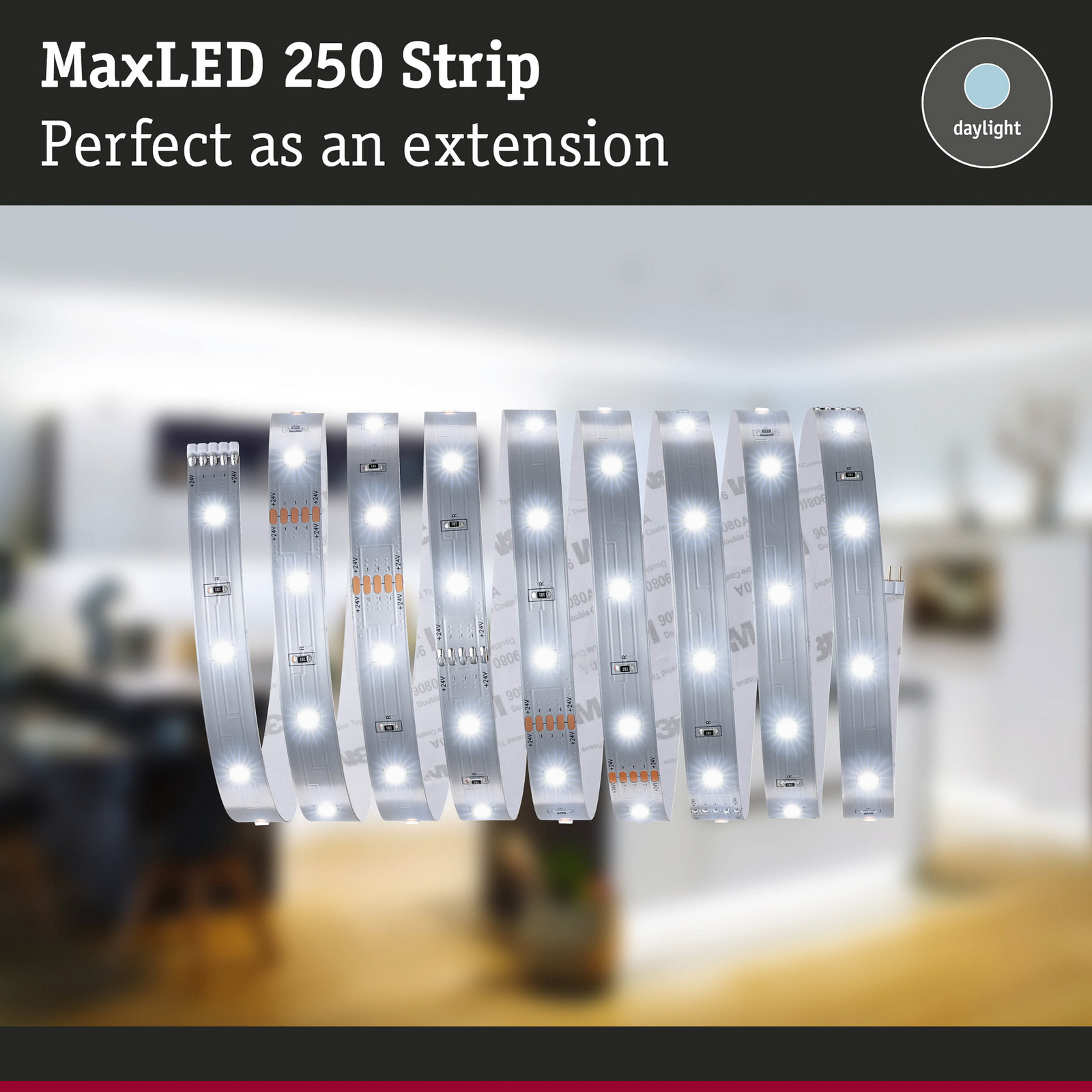 Paulmann MaxLED 250 IP20 lumière du jour 2,5 m