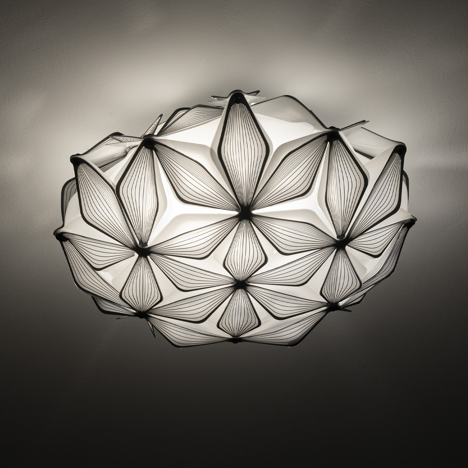 Lámpara de techo C'EST LA VIE, negra, Ø 34 cm, 2 luces, E14