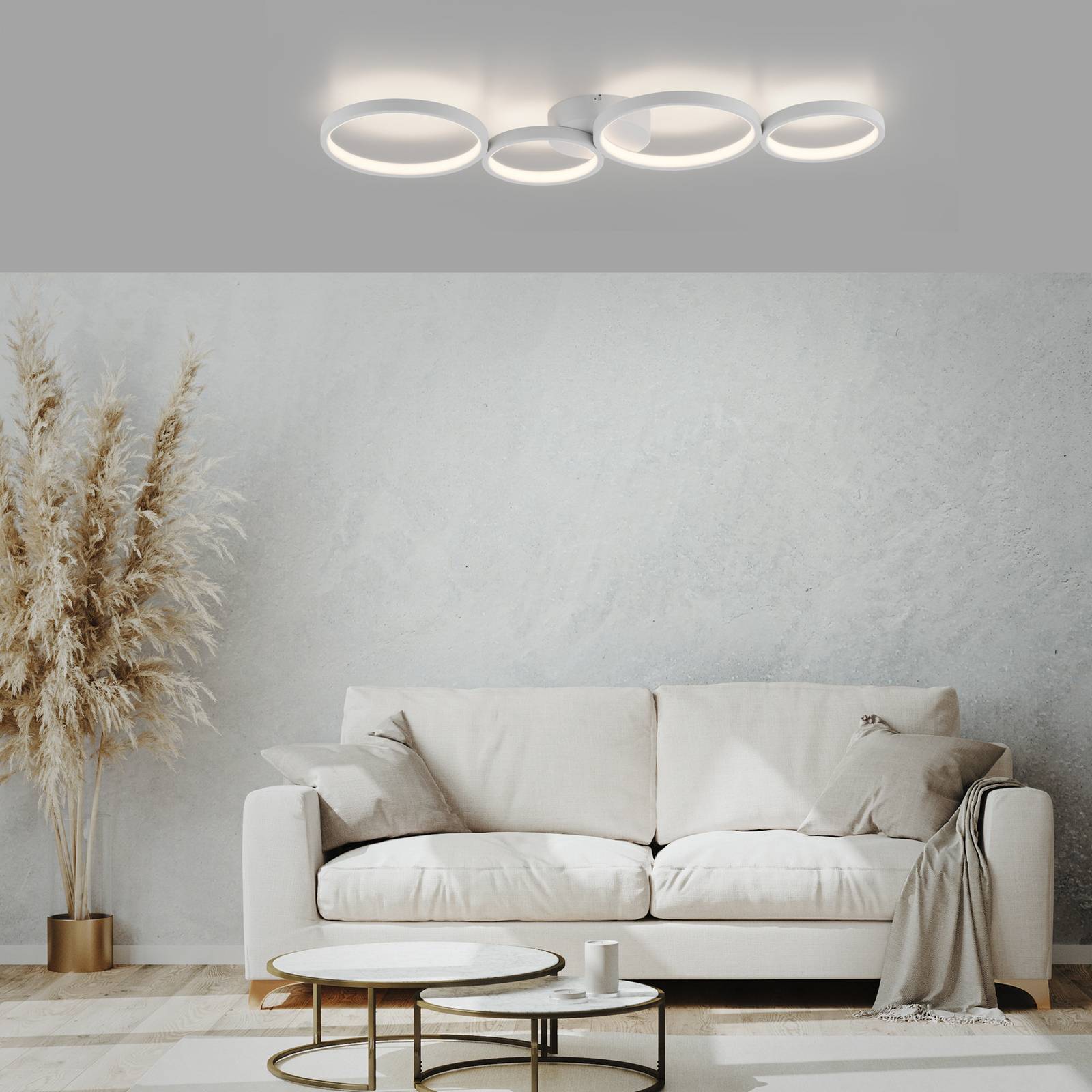 E-shop Stropné svietidlo Paul Neuhaus Kiringe LED, 3-stupňové stmievanie