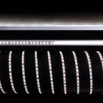 Strip LED flessibile, 40 W, 500x0,5x0,3 cm, 4.000K