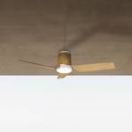 LED stropni ventilator Ushuaia wood DC tihi Ø 134 cm CCT