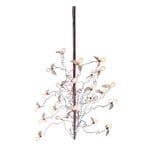 Birds Birds Birds Candeeiro Suspenso 190cm Transp. Cable - Ingo Maurer