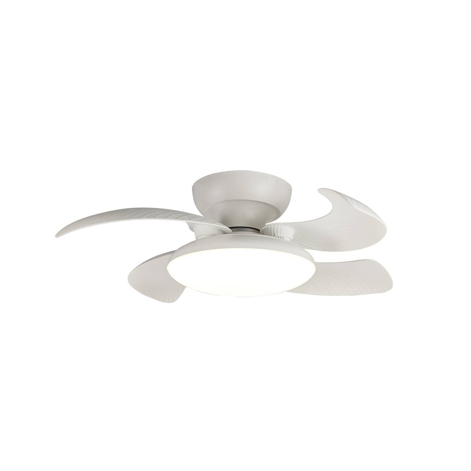 LED-Deckenventilator Aloha weiß DC-Motor leise Ø 90 cm CCT