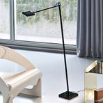 FLOS Kelvin LED - lámpara de pie de diseño, negro